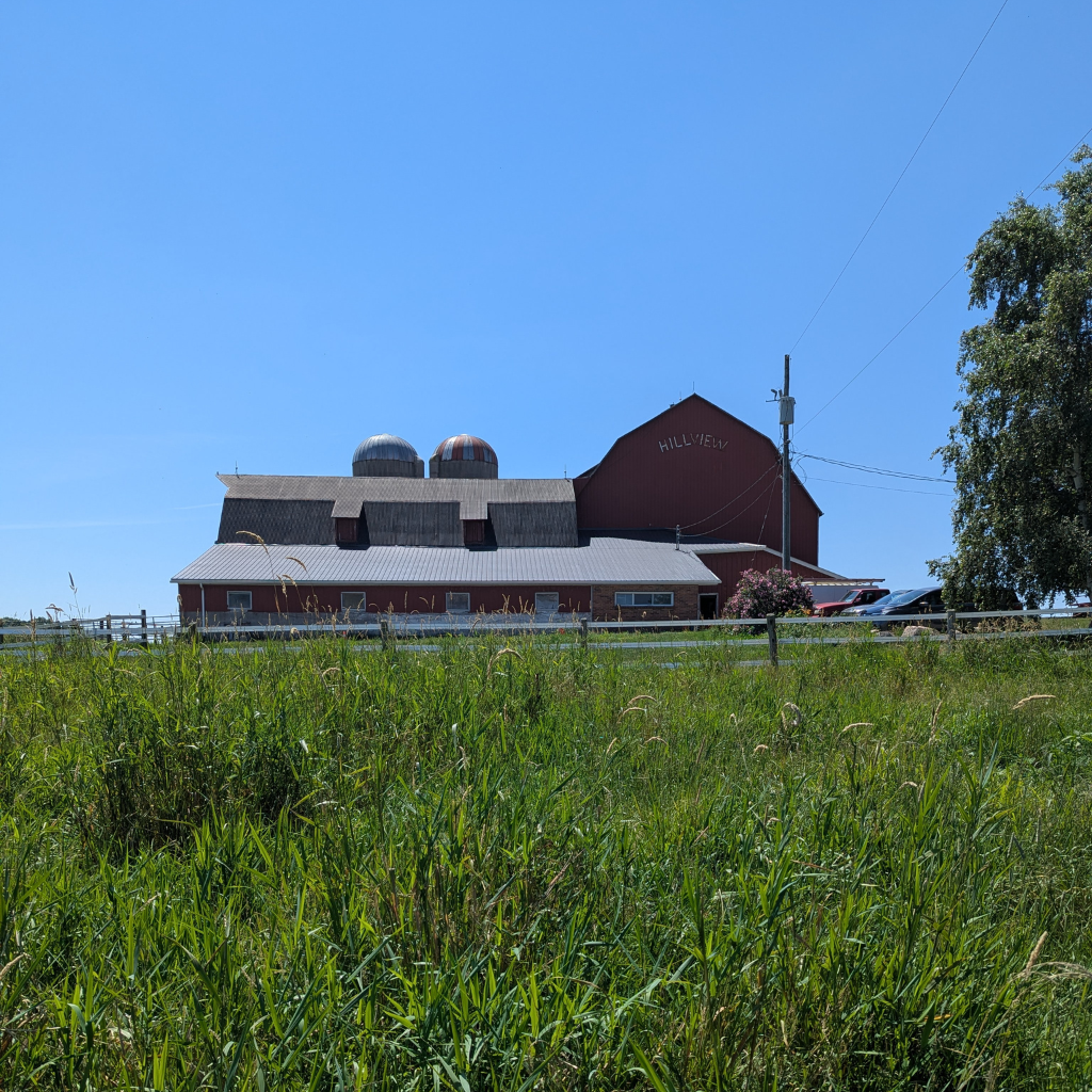 Want to see where your food comes from? Join us at Hillview Farm this September!