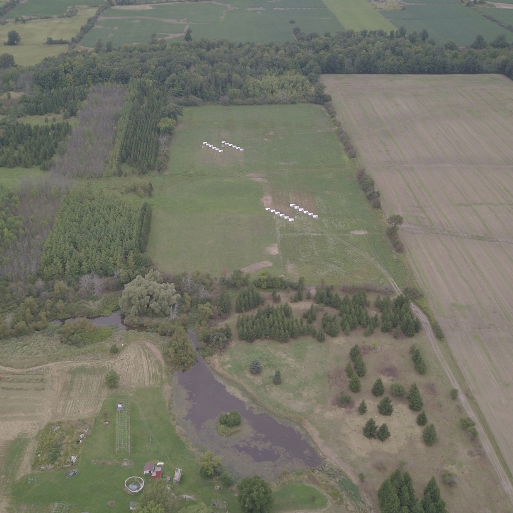 Pasture-raised Ontario poultry will be available at Olliffe starting in June!